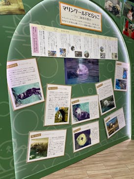 マリンワールド海の中道に投稿された画像（2025/5/17）