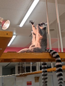 アニタッチ MARK IS 静岡に投稿された画像（2025/5/17）