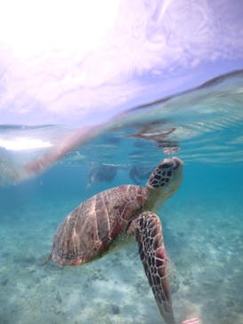 宮古島マリン GB QUESTに投稿された画像（2025/5/17）