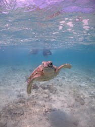 宮古島マリン GB QUESTに投稿された画像（2025/5/17）