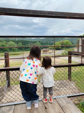 秋吉台自然動物公園 サファリランドに投稿された画像（2025/5/17）