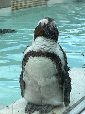 マリンワールド海の中道に投稿された画像（2025/5/17）