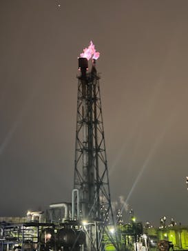 レクトラベルに投稿された画像（2025/5/17）