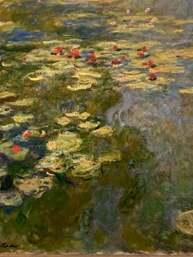 モネ　睡蓮のときに投稿された画像（2025/5/17）