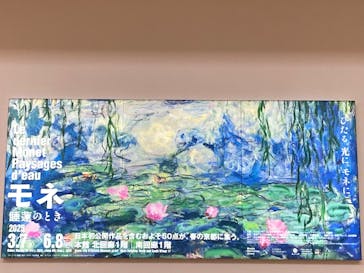 モネ　睡蓮のときに投稿された画像（2025/5/17）