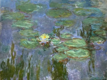 モネ　睡蓮のときに投稿された画像（2025/5/17）