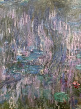 モネ　睡蓮のときに投稿された画像（2025/5/17）