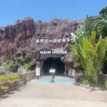 ネオパークオキナワに投稿された画像（2025/5/17）