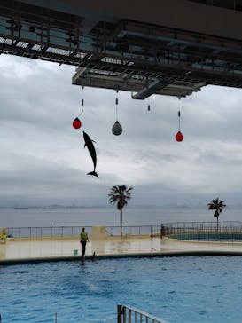 マリンワールド海の中道に投稿された画像（2025/5/17）