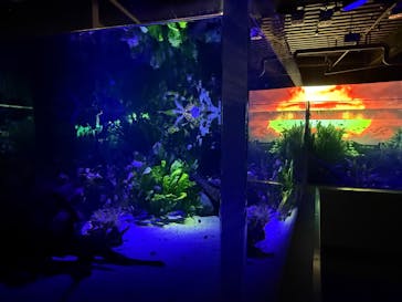 カワスイ 川崎⽔族館に投稿された画像（2025/5/17）