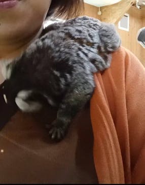 長崎バイオパークに投稿された画像（2025/5/17）