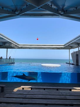 上越市立水族博物館 うみがたりに投稿された画像（2025/5/17）