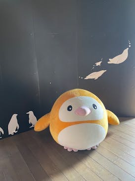 上越市立水族博物館 うみがたりに投稿された画像（2025/5/17）