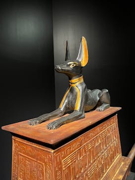 MYSTERY OF TUTANKHAMEN 体感型古代エジプト展に投稿された画像（2025/5/17）