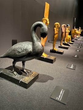 MYSTERY OF TUTANKHAMEN 体感型古代エジプト展に投稿された画像（2025/5/17）