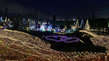 美らヤシパークオキナワ・東南植物楽園に投稿された画像（2025/5/17）