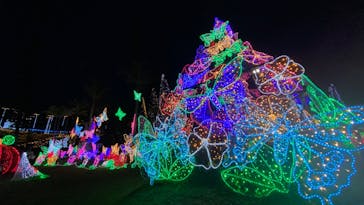 美らヤシパークオキナワ・東南植物楽園に投稿された画像（2025/5/17）