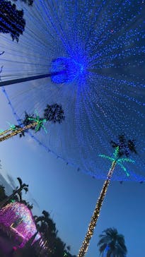 美らヤシパークオキナワ・東南植物楽園に投稿された画像（2025/5/17）