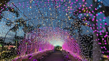 美らヤシパークオキナワ・東南植物楽園に投稿された画像（2025/5/17）