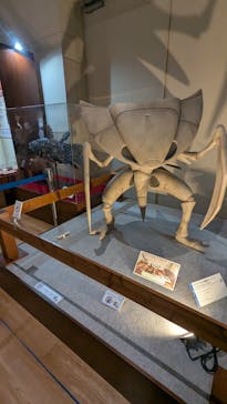 福井県立恐竜博物館に投稿された画像（2025/5/18）