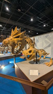 福井県立恐竜博物館に投稿された画像（2025/5/18）