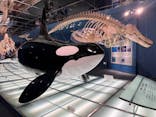 名古屋港水族館に投稿された画像（2025/5/18）
