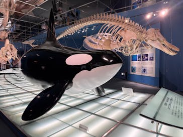 名古屋港水族館に投稿された画像（2025/5/18）