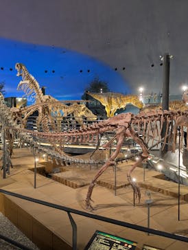 福井県立恐竜博物館に投稿された画像（2025/5/18）