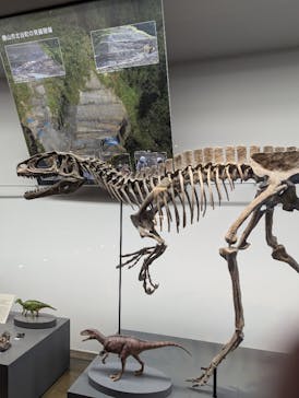 福井県立恐竜博物館に投稿された画像（2025/5/18）