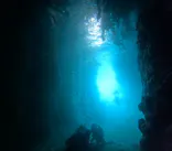 武藤潜水に投稿された画像（2025/5/18）