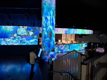 マクセル アクアパーク品川に投稿された画像（2025/5/18）