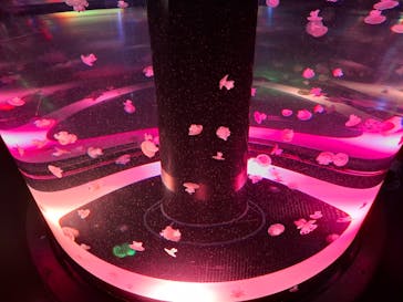 マクセル アクアパーク品川に投稿された画像（2025/5/18）