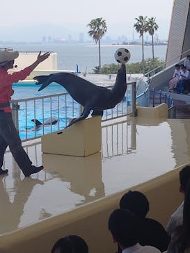 マリンワールド海の中道に投稿された画像（2025/5/18）