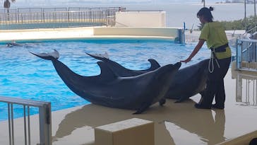 マリンワールド海の中道に投稿された画像（2025/5/18）