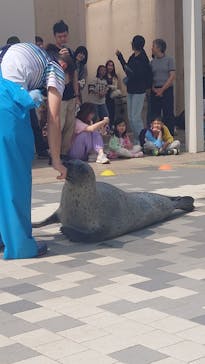 マリンワールド海の中道に投稿された画像（2025/5/18）