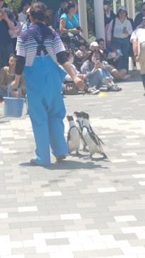 マリンワールド海の中道に投稿された画像（2025/5/18）