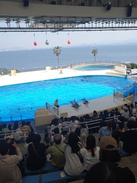 マリンワールド海の中道に投稿された画像（2025/5/18）