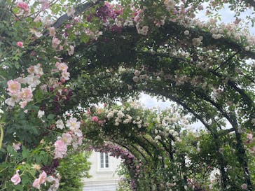 横浜イングリッシュガーデンに投稿された画像（2025/5/18）