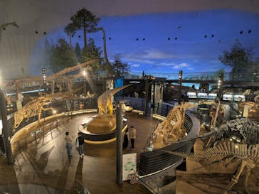 福井県立恐竜博物館に投稿された画像（2025/5/18）