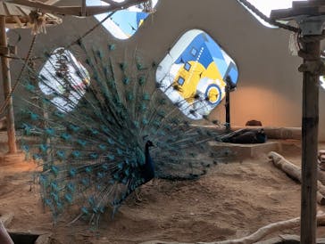 NIFREL（ニフレル）に投稿された画像（2025/5/18）