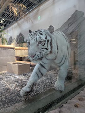 NIFREL（ニフレル）に投稿された画像（2025/5/18）