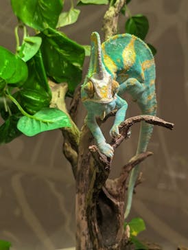 NIFREL（ニフレル）に投稿された画像（2025/5/18）