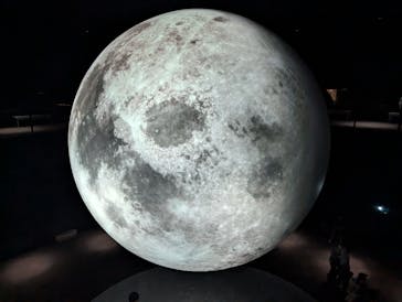 NIFREL（ニフレル）に投稿された画像（2025/5/18）