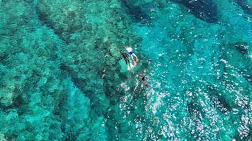 ソルキスに投稿された画像（2025/5/18）