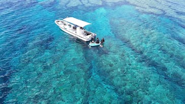 ソルキスに投稿された画像（2025/5/18）