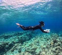 ソルキスに投稿された画像（2025/5/18）