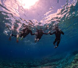 ソルキスに投稿された画像（2025/5/18）