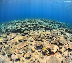 ソルキスに投稿された画像（2025/5/18）