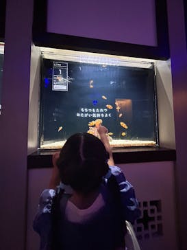 横浜開運水族館 フォーチュンアクアリウムに投稿された画像（2025/5/18）