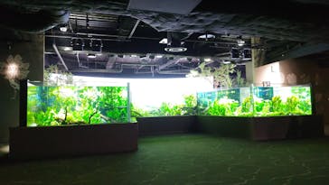 カワスイ 川崎⽔族館に投稿された画像（2025/5/18）